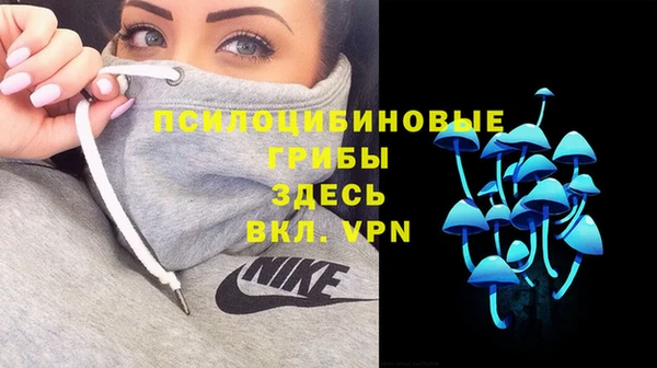 кокаин колумбия Алексин