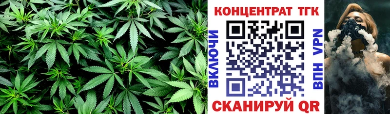 Купить где  Заводоуковск  ТГК THC oil 
