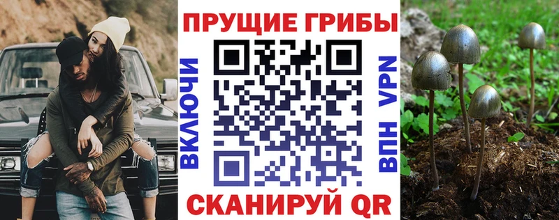 Купить где  Заводоуковск  Галлюциногенные грибы MAGIC MUSHROOMS 