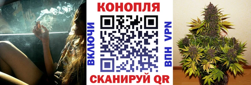 Канабис White Widow  Купить  Заводоуковск 